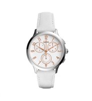 Orologio Fossil Donna Abilene in Acciaio CH4000 - CH4000